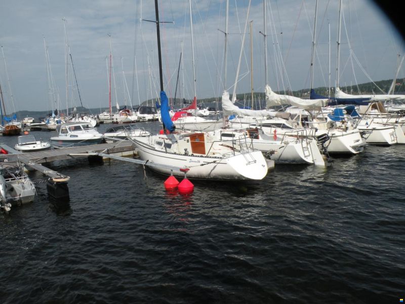Bianca 28