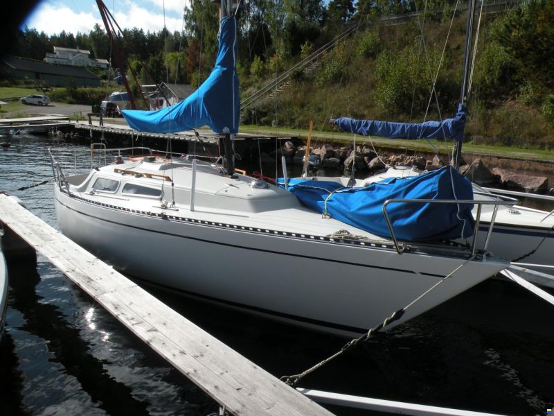 Bianca 28