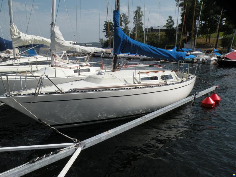 Bianca 28