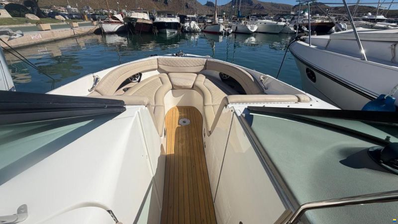 Sea Ray SLX 290