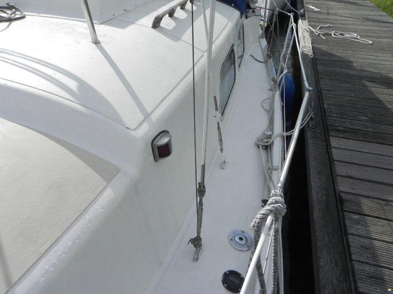 Westerly Longbow