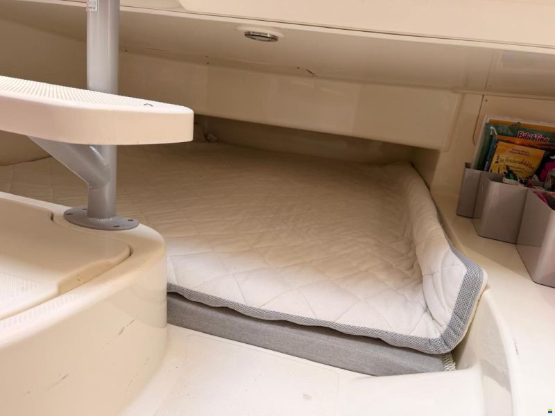 Quicksilver Activ 805 Sundeck