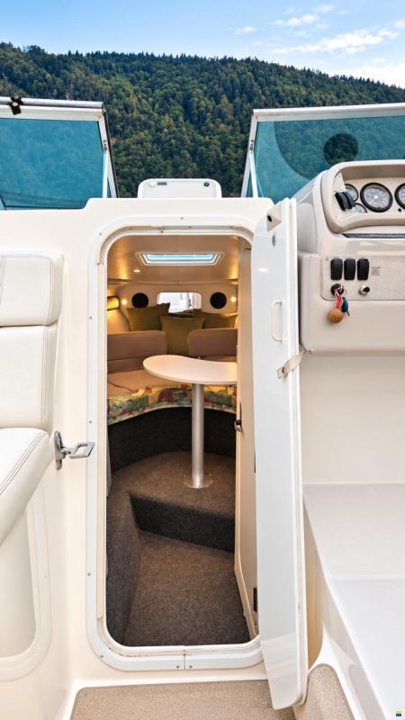 Wellcraft Martinique 26