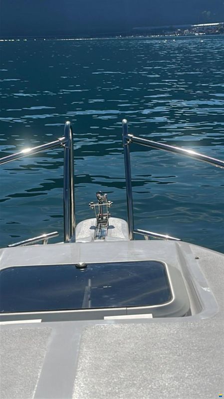 Drago 550