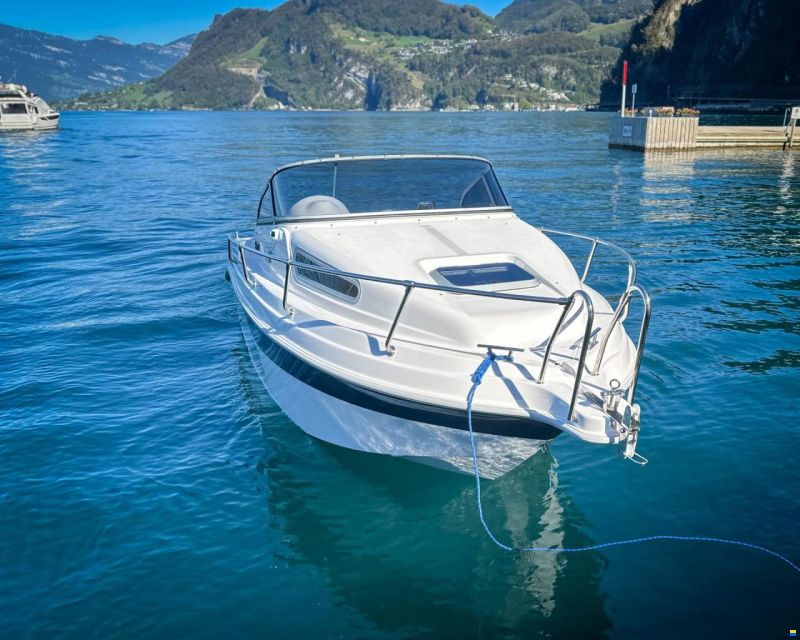 Drago 550
