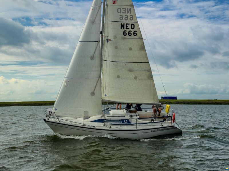 Dehler 31 Top