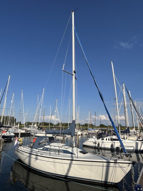 Dehler 31 Top