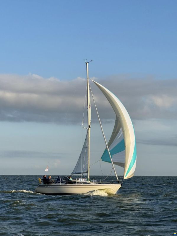 Dehler 31 Top