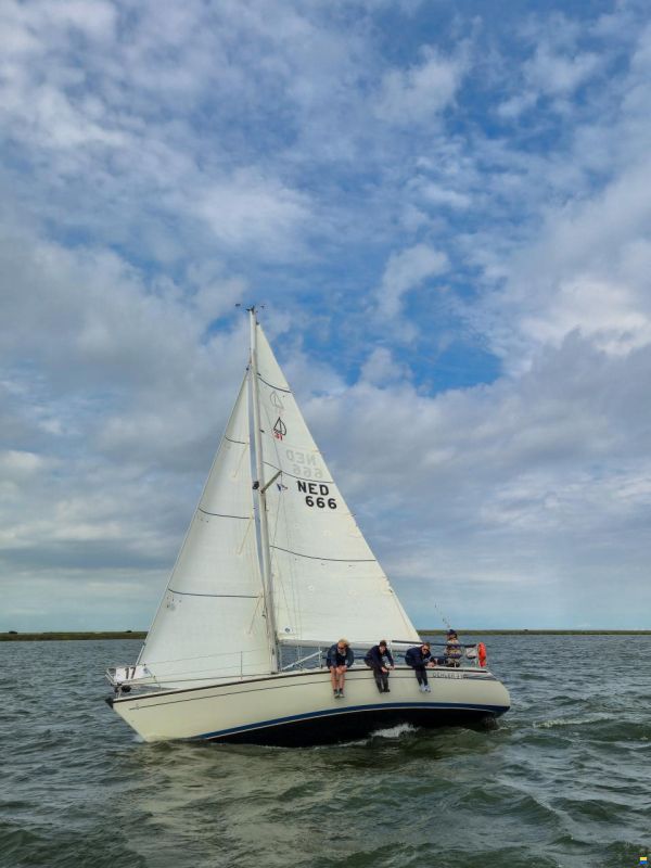 Dehler 31 Top