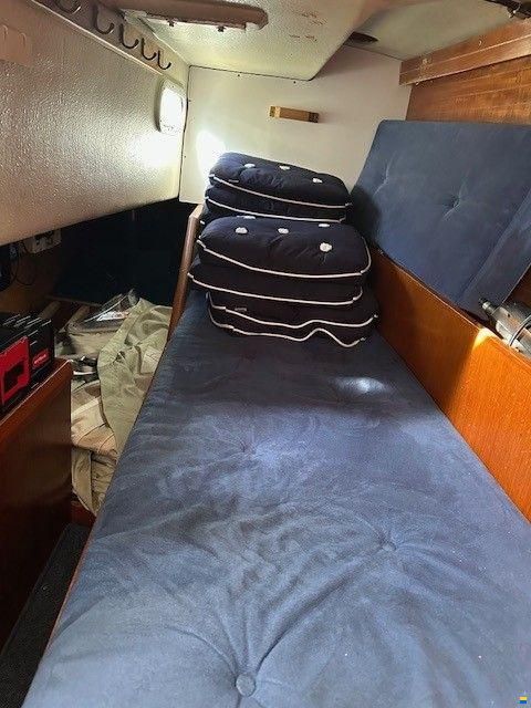 Sagitta 35