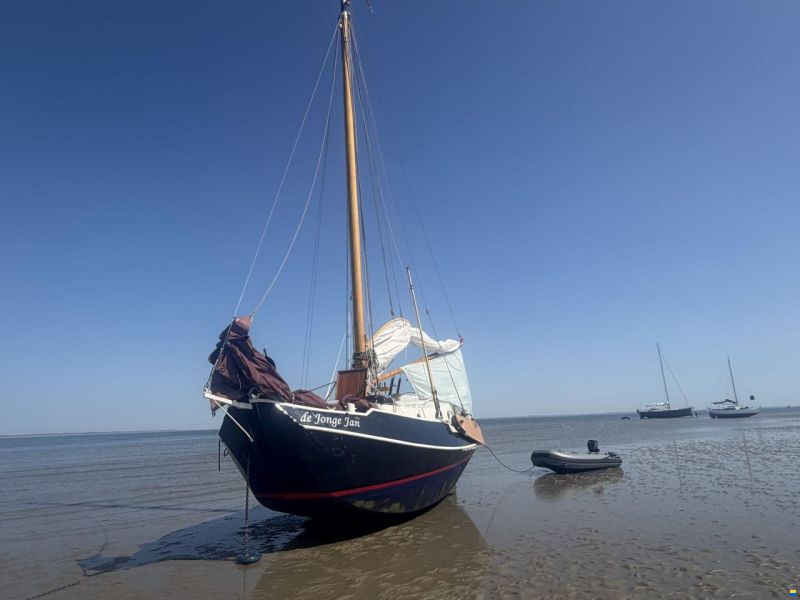 Zeeschouw Boomsma 8.50