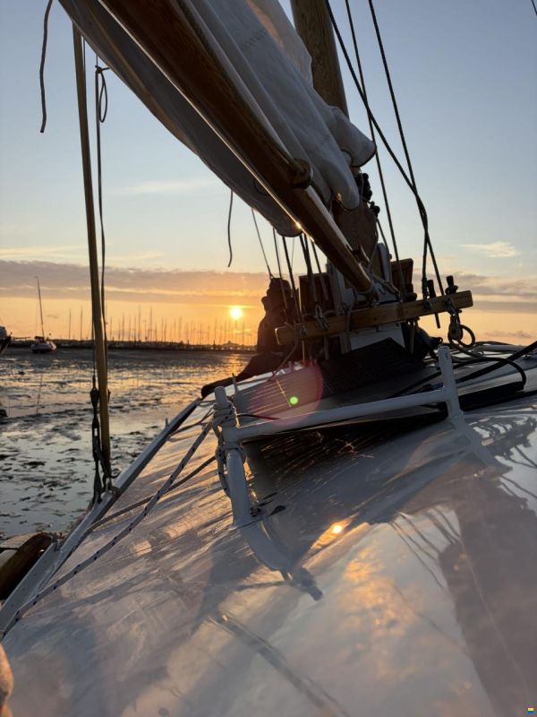 Zeeschouw Boomsma 8.50