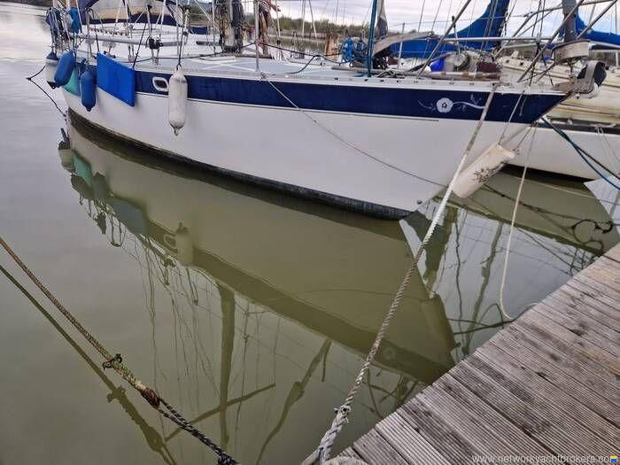 Trident Marine UK Warrior 40