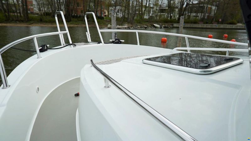 Sargo 31