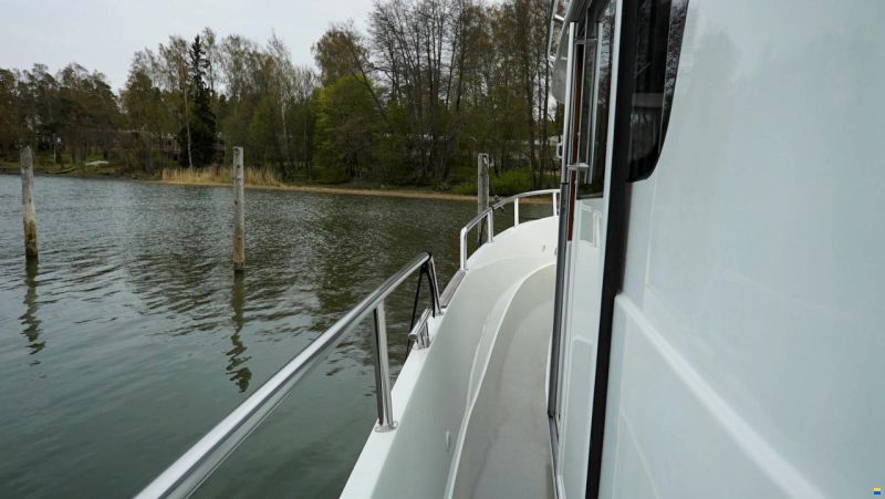 Sargo 31