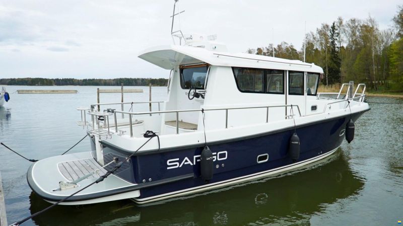 Sargo 31