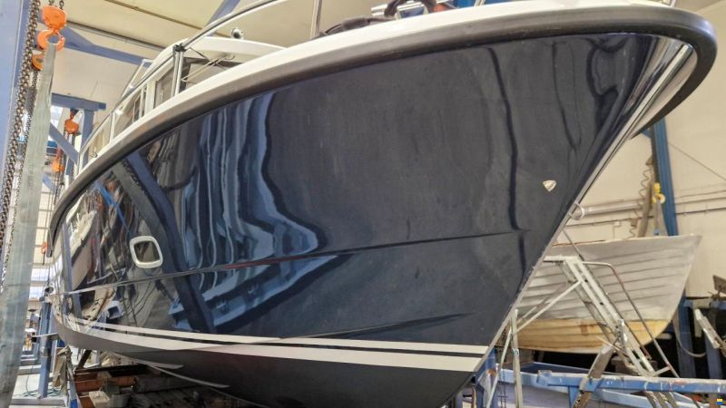 Sargo 31