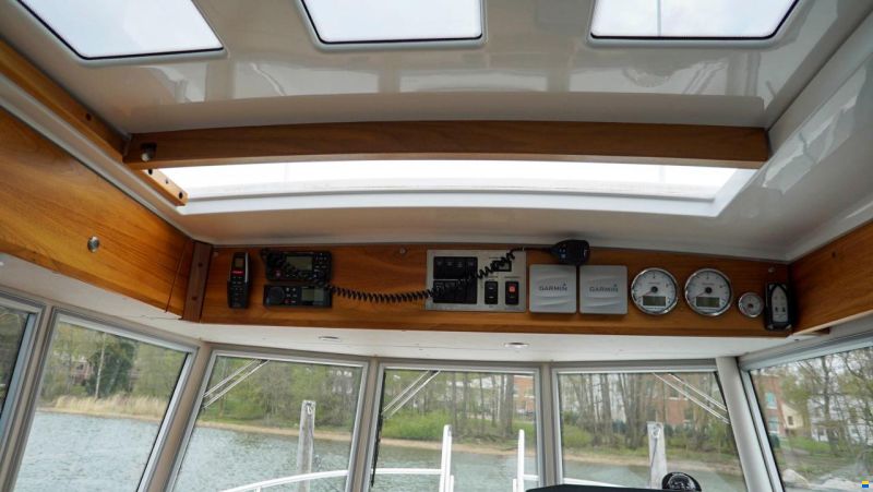 Sargo 31