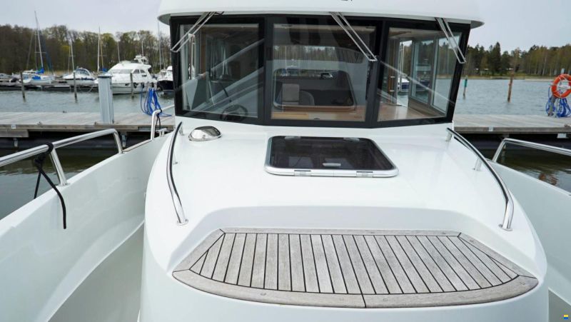Sargo 31