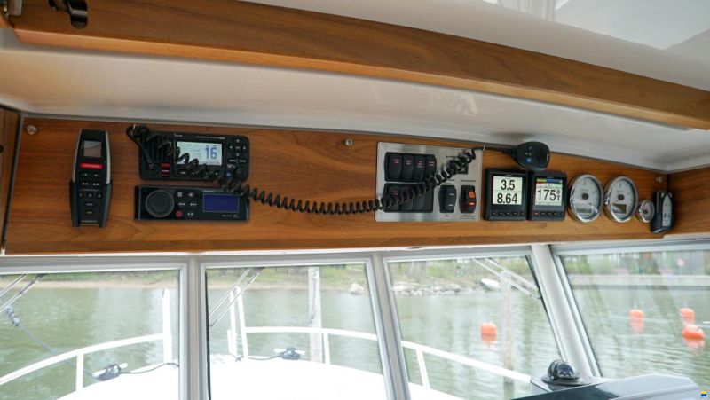 Sargo 31