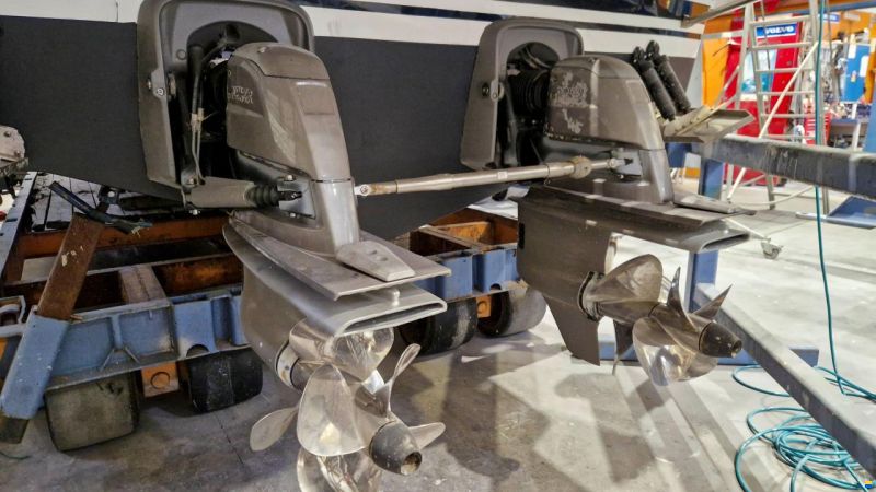 Sargo 31