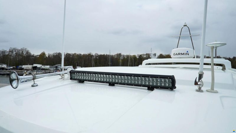 Sargo 31