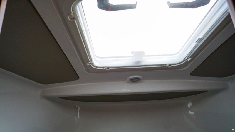 Sargo 31