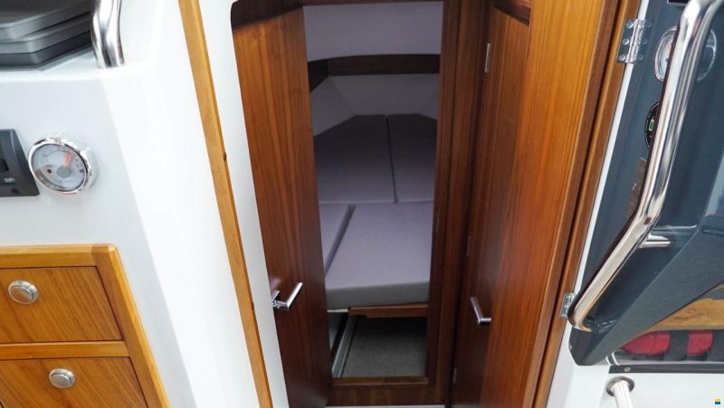 Sargo 31