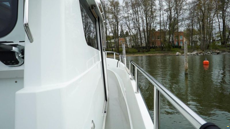 Sargo 31