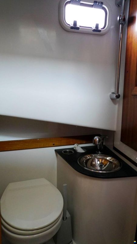 Sargo 31