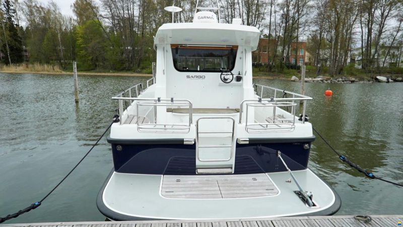 Sargo 31