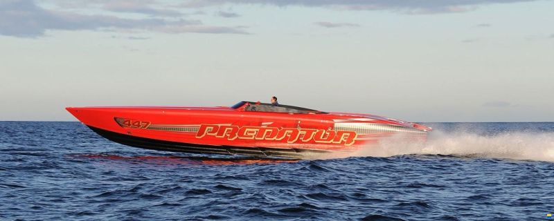 Predator 447
