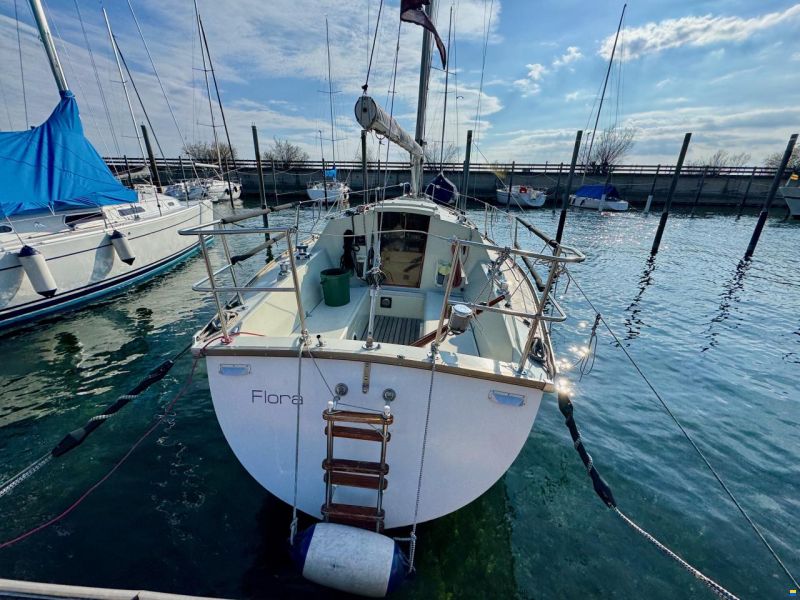 Dufour 29