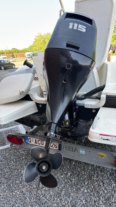 Bayliner Élément xl