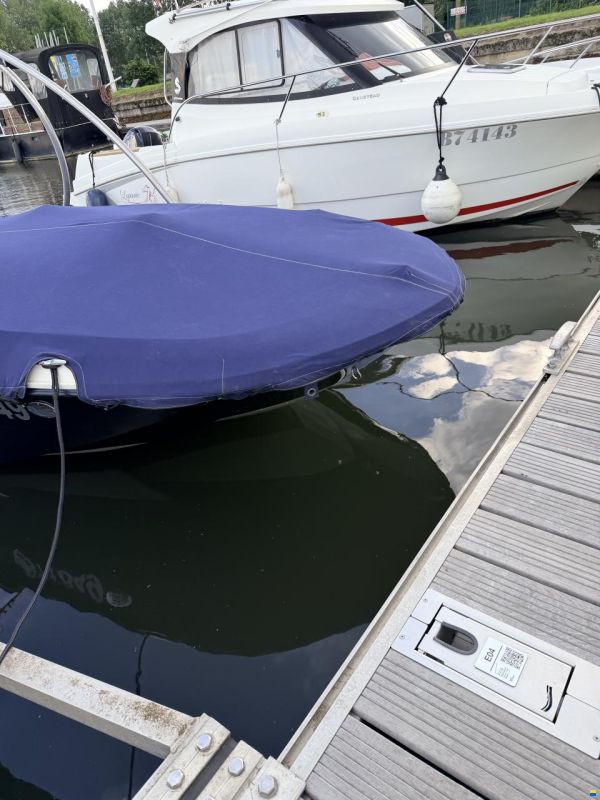 Bayliner Élément xl