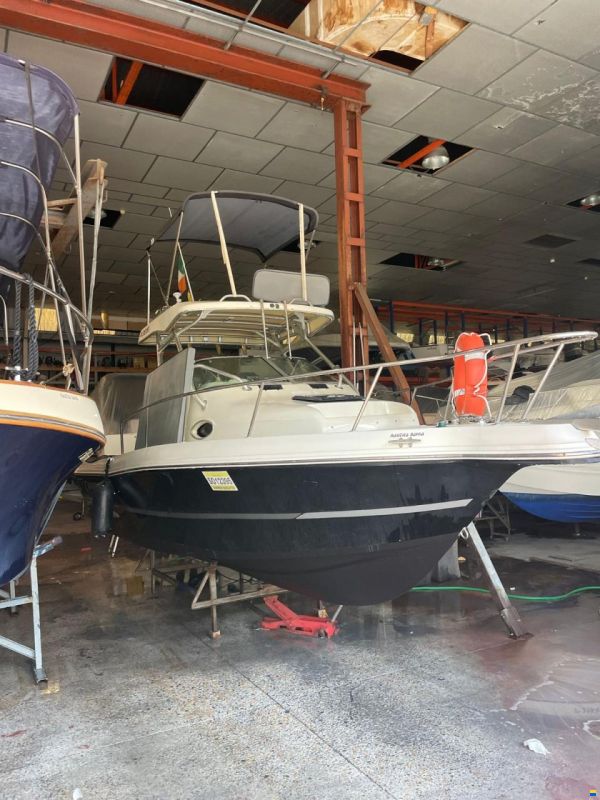 Sea Hawk 230 v series