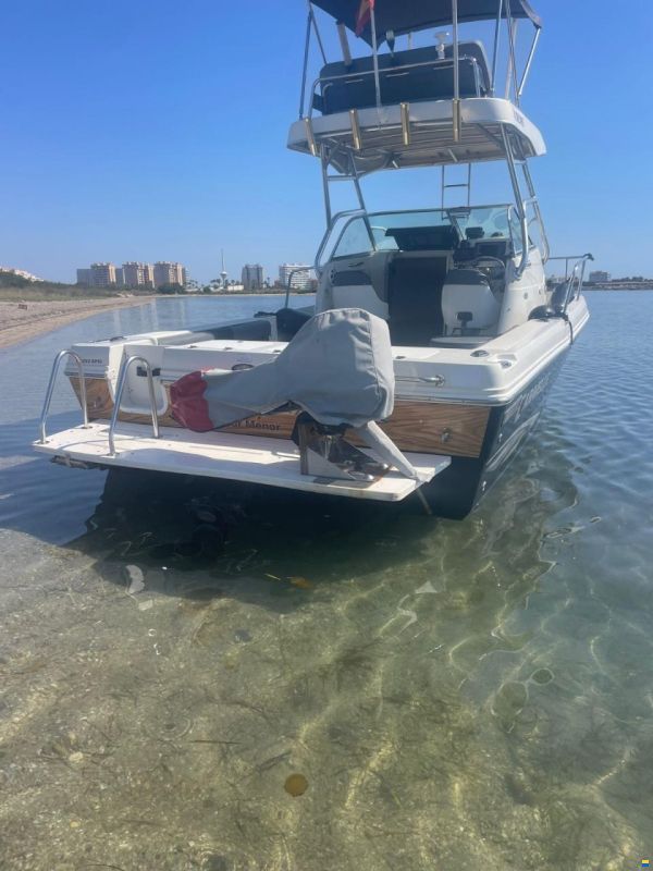 Sea Hawk 230 v series
