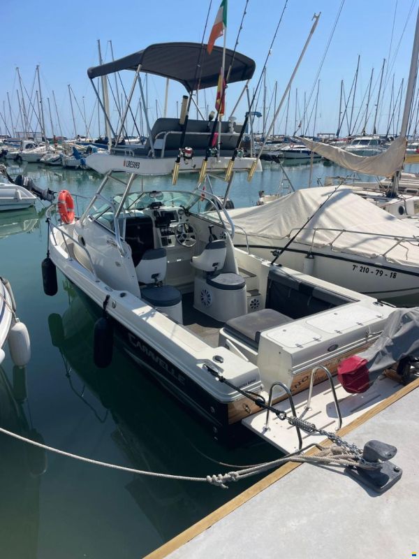 Sea Hawk 230 v series