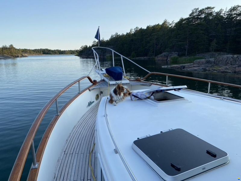 Grand Banks 46 Classic