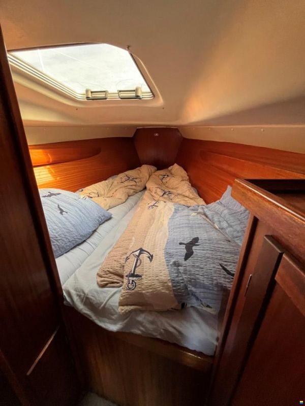 Hanse 331