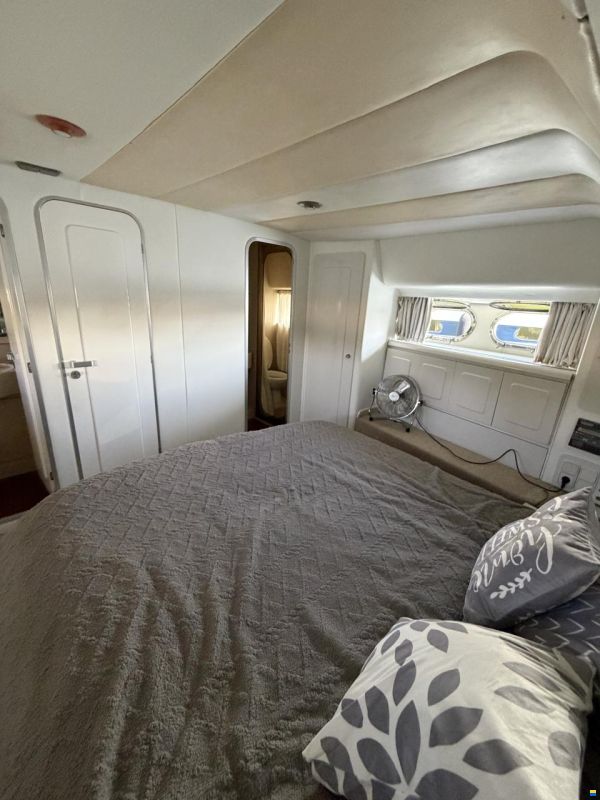 Astondoa A165