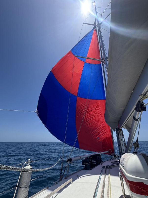 Harmony 47