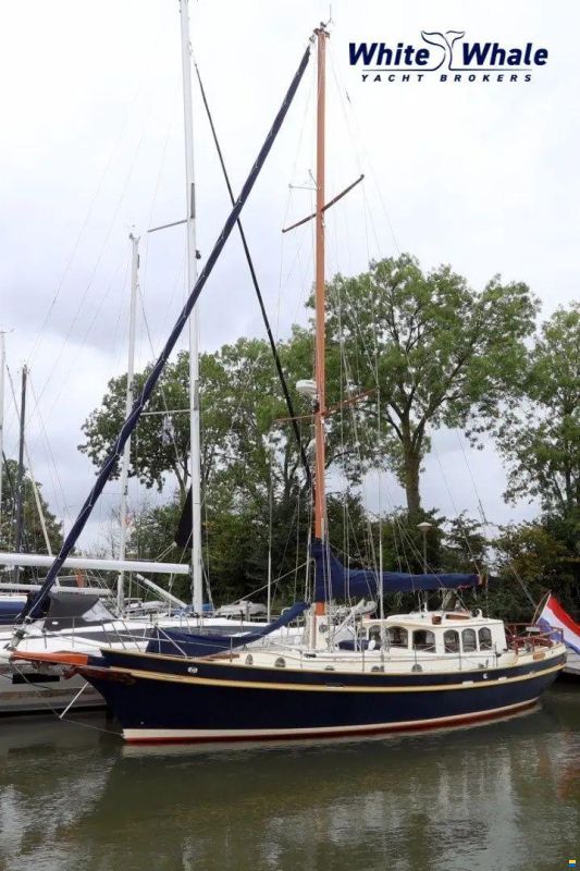 Bekebrede Miresse (Noordkaper) 38