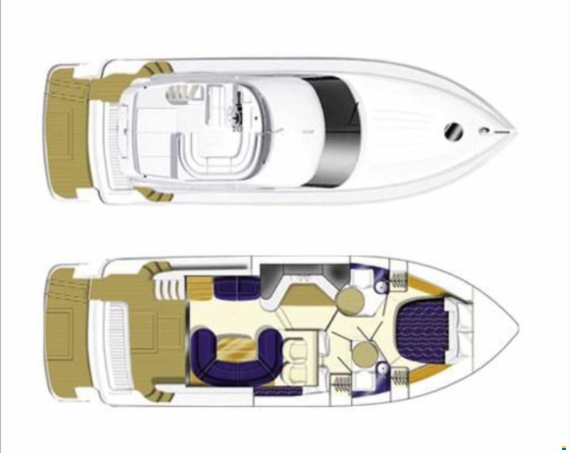 Princess P40