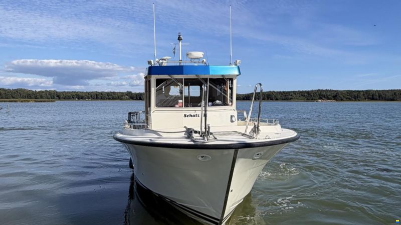 Targa 33