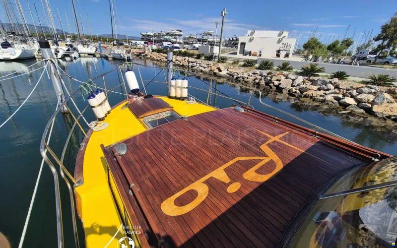 Rio 800 Cruiser