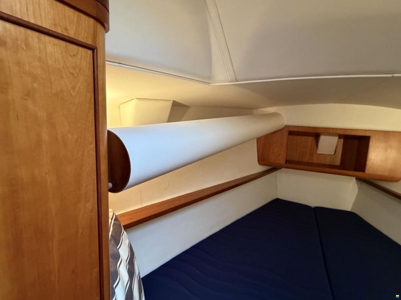 Impact Yachts 37