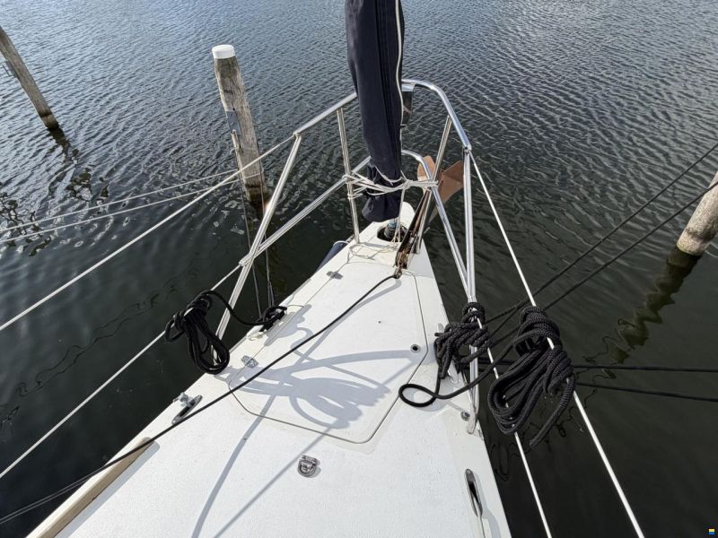 Impact Yachts 37