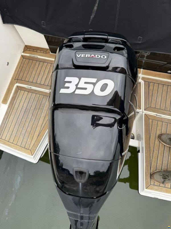 Askeladden C83 Cruiser