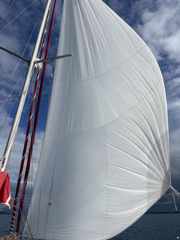 Alubat OVNI 395